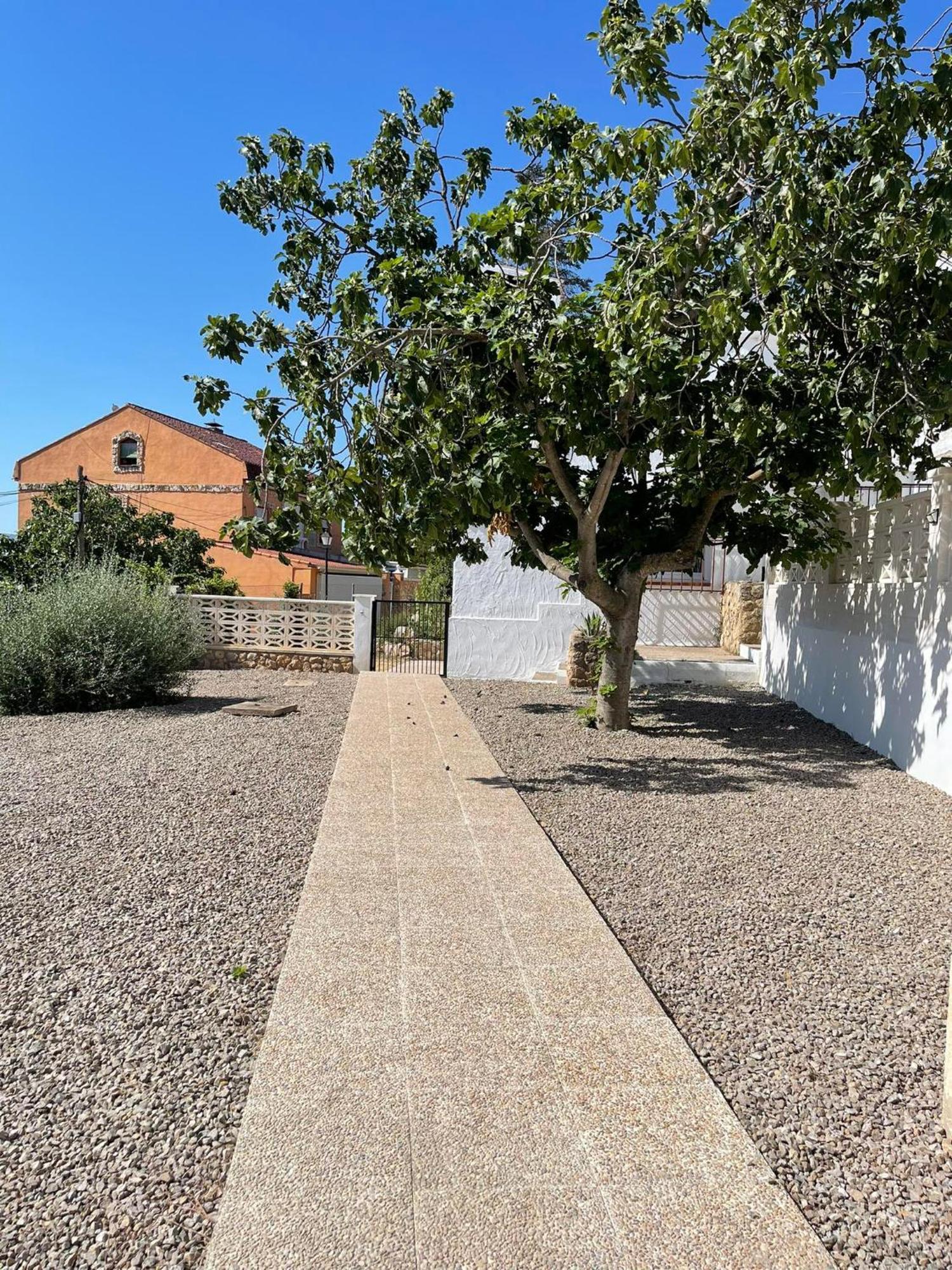 Djm Palms - Shared Casa Rural - Casa Rural Compartida - No Es Una Casa Privada Ayora Extérieur photo